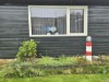 Bilde 8
