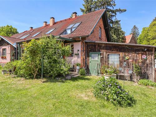 Ferieleilighet - 3 personer -  - Ringstraße - 17194 - Jabel