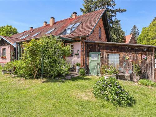 Ferienwohnung - 3 Personen -  - Ringstraße - 17194 - Jabel