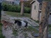 Image 11 - Outside