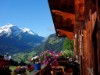 Bild 12 - Ude