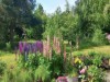 Billede 41 - Grund
