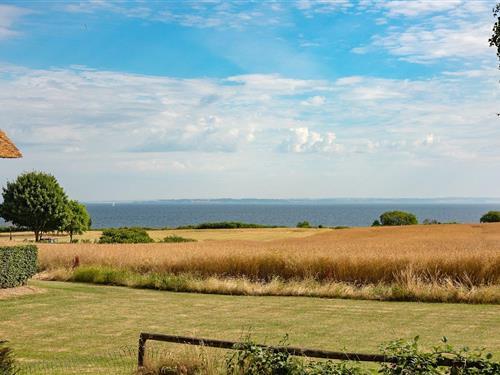 Ferienhaus - 6 Personen -  - Græskobbel 15 A - Fynshav - 6440 - Augustenborg