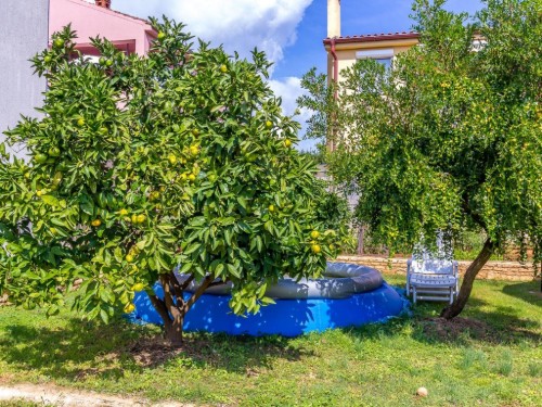 Holiday apartment - 5 persons -  - Medulin - 0