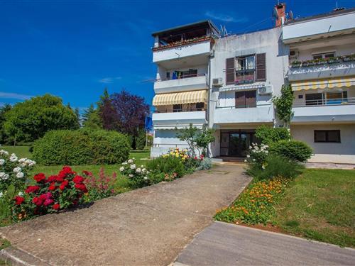 Holiday Home/Apartment - 5 persons -  - 52440 - Porec