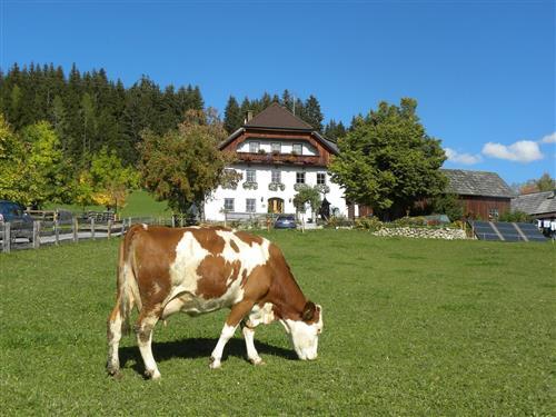 Ferienhaus - 8 Personen -  - Lasa - 5572 - St. Andrä Im Lungau