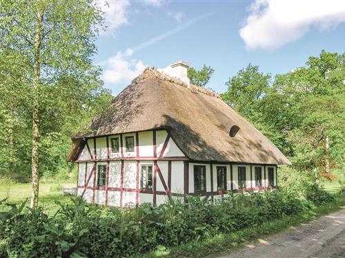 Sommerhus - 5 personer -  - Brænderupvængevej - 5892 - Gudbjerg