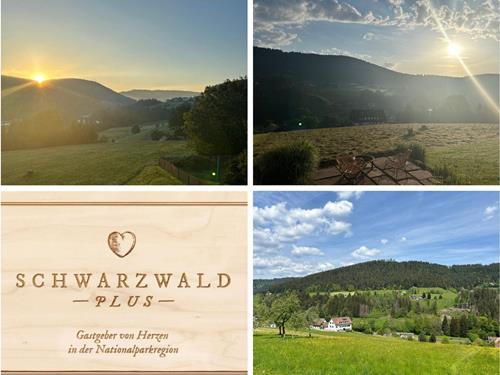 Ferieleilighet - 2 personer -  - Am Gretzenbühl - 72270 - Baiersbronn