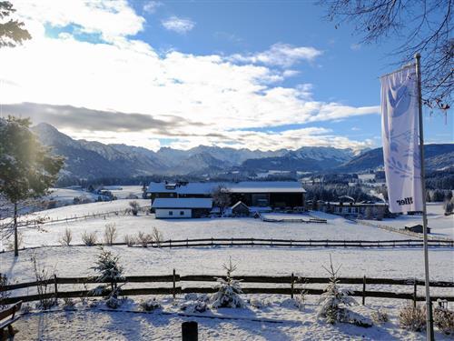 Ferielejlighed - 2 personer -  - Schweineberg - 87527 - Ofterschwang