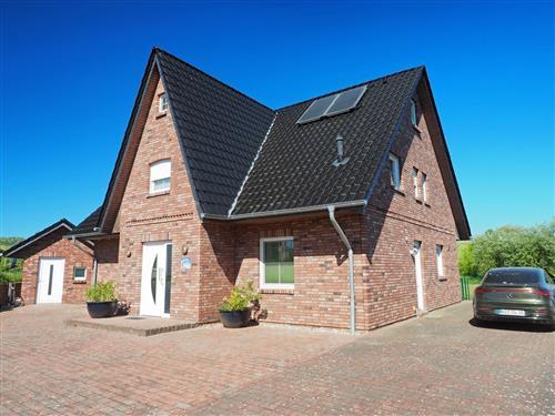 Sommerhus - 16 personer -  - Damshagen - 23948