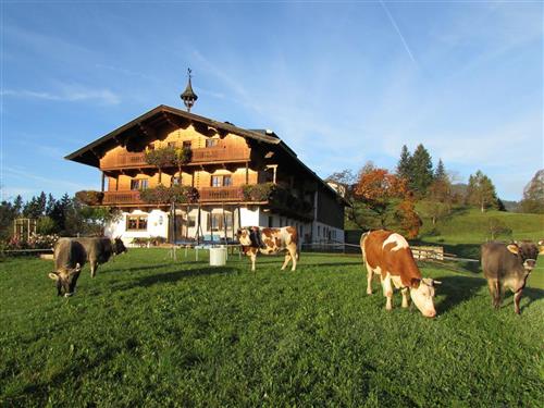 Sommerhus - 5 personer -  - Gaisberg - 6351 - Scheffau Am Wilden Kaiser