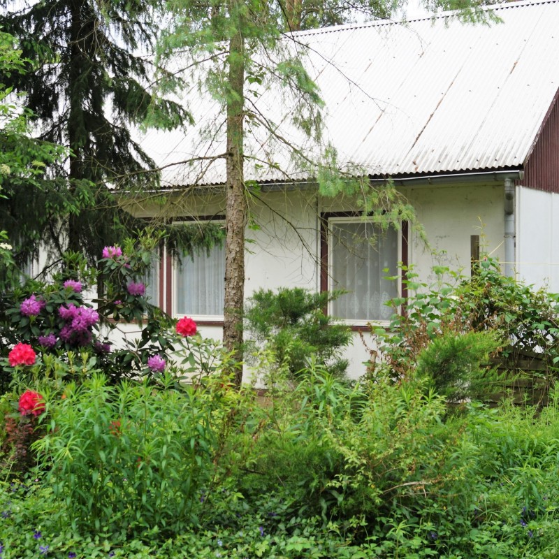 Sommerhus - 3 personer -  - Ahornallee - 15848 - Friedland