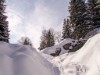 Billede 23 - Ude