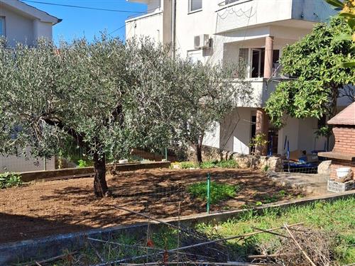 Holiday apartment - 3 persons -  - Marka Marulica - 23207 - Sveti Filip I Jakov