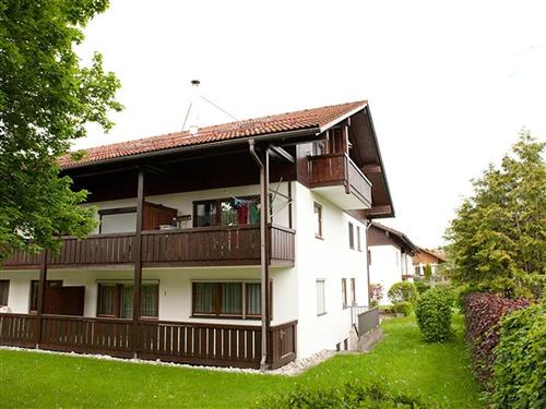 Holiday apartment - 3 persons -  - Promenadenweg - 87484 - Nesselwang