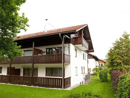 Ferielejlighed - 3 personer -  - Promenadenweg - 87484 - Nesselwang