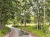 Bild 14 - Ude