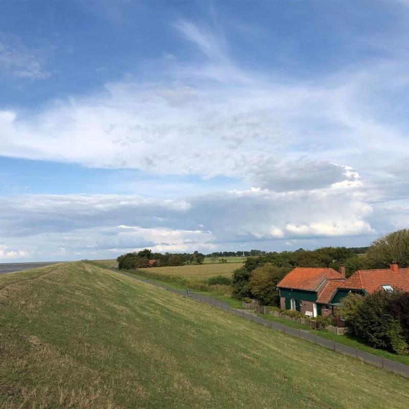 Sommerhus - 12 personer -  - Burhave - 26969