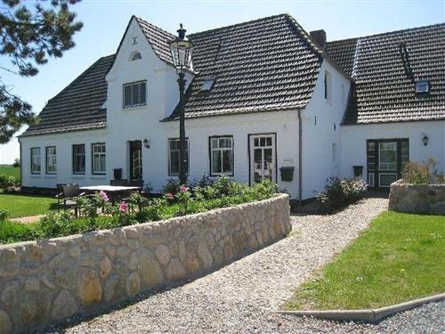 Ferienhaus - 2 Personen -  - Groß Dunsum - 25938 - Dunsum