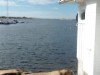 Billede 19