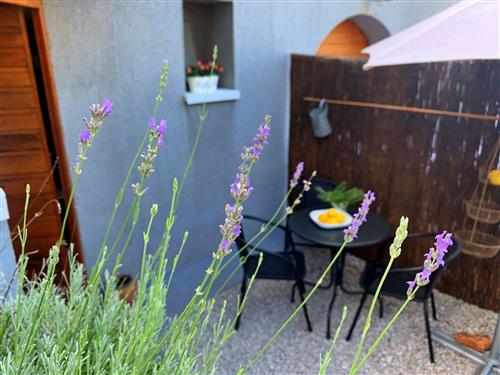 Holiday apartment - 2 persons -  - Krk/Šilo - 51515