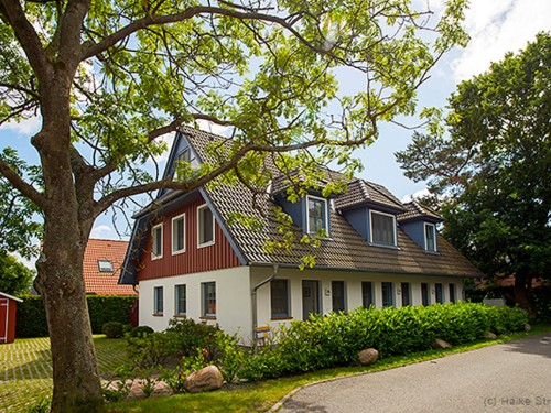 Sommerhus - 5 personer -  - Waldstraße - 18374 - Ostseeheilbad Zingst