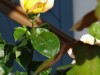Bild 22
