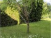 Billede 8