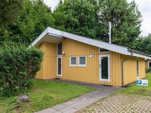 Sommerhus - 4 personer -  - Walter-Gotsmann-Straße - 17252 - Mirow