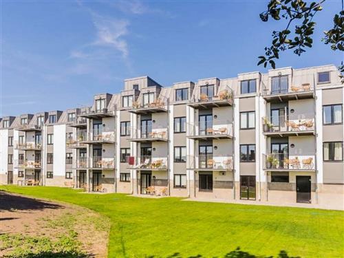  - 8 Personen -  - Hanöhusvägen - Hällevik - 29472 - Sölvesborg