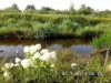 Billede 2