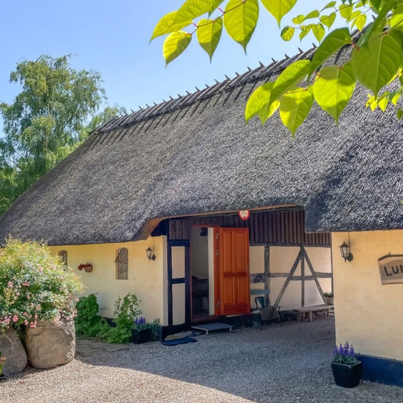 Ferienwohnung - 4 Personen -  - Tørvemosevej - Taasinge - 5700 - Svendborg