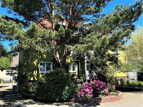 Ferieleilighet - 2 personer -  - Walther-Rathenau-Straße - 02977 - Hoyerswerda