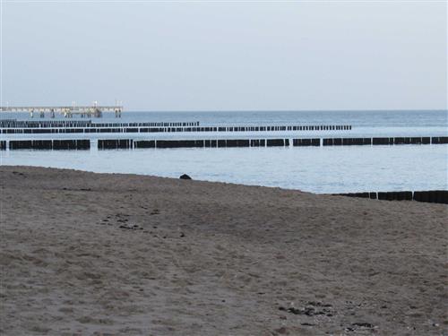 Ferielejlighed - 3 personer -  - Grenzstraße - 17419 - Ahlbeck (Seebad)