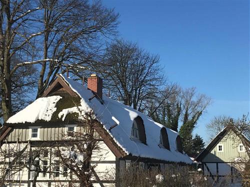 Holiday apartment - 7 persons -  - Kirchsteig - 18356 - Fuhlendorf / Bodstedt