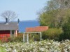 Image 13