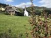 Bild 36
