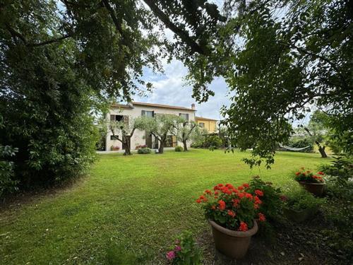 Ferienhaus - 8 Personen -  - Viareggio - 55049