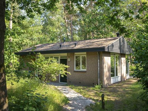 Semesterhus/Semesterlägenhet - 4 personer -  - Boshoffweg - 6961 LD - Eerbeek