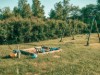 Image 14