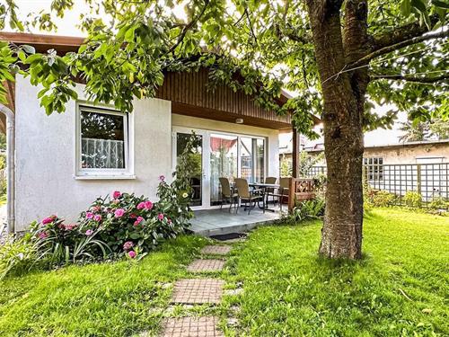 Ferienhaus - 4 Personen -  - Bergstraße - 17454 - Zinnowitz (Seebad)
