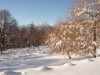 Image 24 - Outside