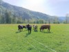 Bild 18