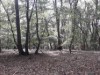 Bild 23