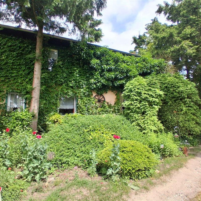 Ferielejlighed - 6 personer -  - Chausseeberg - 17429 - Mellenthin