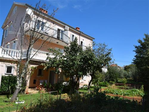 Ferieleilighet - 2 personer -  - Draga - 51512 - Njivice