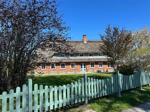 Fritidshus - 6 personer -  - Roikier - 24972 - Steinbergkirche