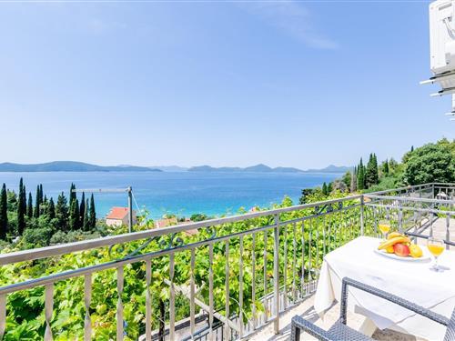 Ferieleilighet - 2 personer -  - 20232 - Slano