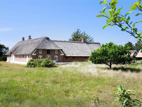 Sommerhus - 12 personer -  - Reginevej - 6857 - Blåvand