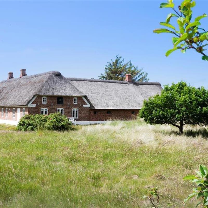 Ferienhaus - 12 Personen -  - Reginevej - 6857 - Blavand